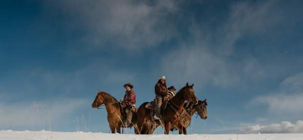 Horseback Riding Winter