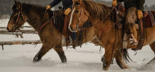 Two horseback riders travel through deep snow near Jackson, Wyoming. The close-up view of saddled horses, Western riding gear and snow-covered ranch country highlights Wyoming’s ranching heritage and winter horseback riding traditions.