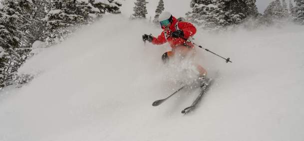 A skier carves through deep powder in a snow-covered evergreen forest near Jackson, Wyoming. Fresh snow sprays around the skier as they descend through the trees, highlighting powder skiing and winter recreation in Teton County.