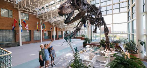 Located in Rock Springs, the Western Wyoming Community College (WWCC) Natural History Museum is one of the most unique "hidden gem" museums in the state. Rather than being confined to a single room, the museum is integrated into the daily life of the college, with massive exhibits displayed throughout the hallways and common areas.