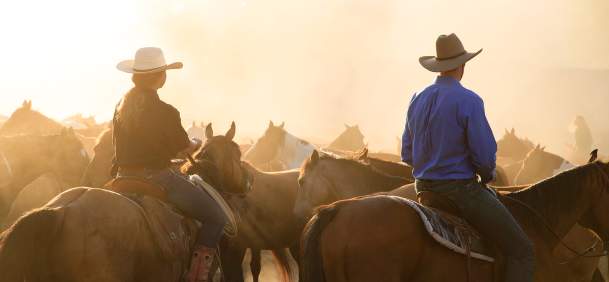 Cowboy and cowgirl on horseback in a herd of horses at sunset.