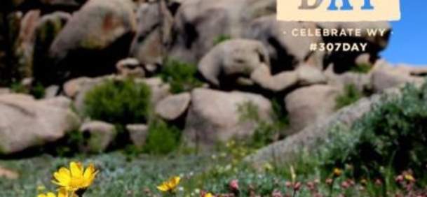 Celebrate Wyoming on 307 Day: A Statewide Tribute to the Last Bastion of the West