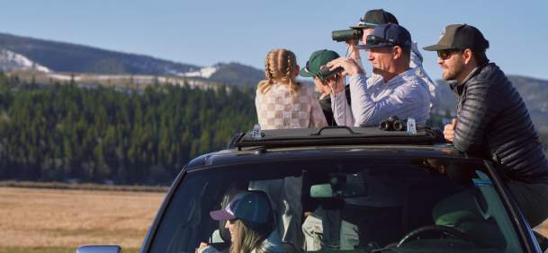 Attractions & Sightseeing