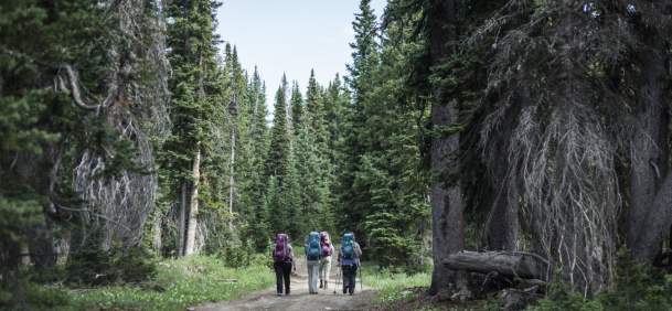 Hikers in a line along the Continental Divide Trail surrounded by scenic mountain views.