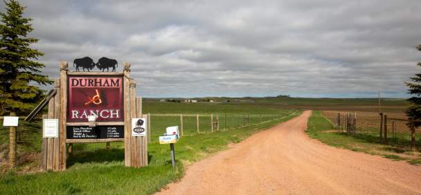 Family-Friendly Road Trip Ideas in the Black to Yellow Regions