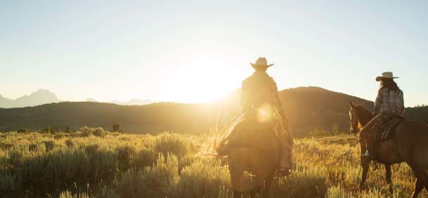 Cowboys on horseback riding through an open Wyoming landscape under a sunny sky.