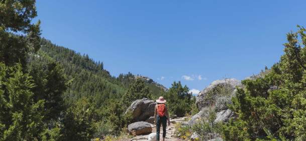 Best Trail-to-Tavern Adventures in Wyoming