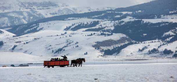 Visitors on a horse-drawn sleigh ride through the National Elk Refuge in Jackson Hole, Teton County, Wyoming.