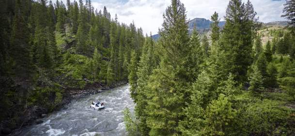 National Forests