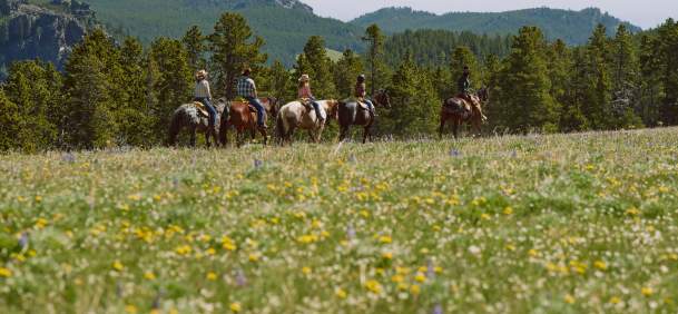 New Appointments and Leadership Updates to the Wyoming Tourism Board