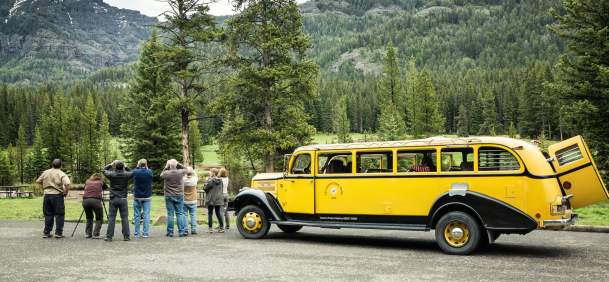 Classic Yellowstone Tour bus guiding visitiors around Yellowstone National Park