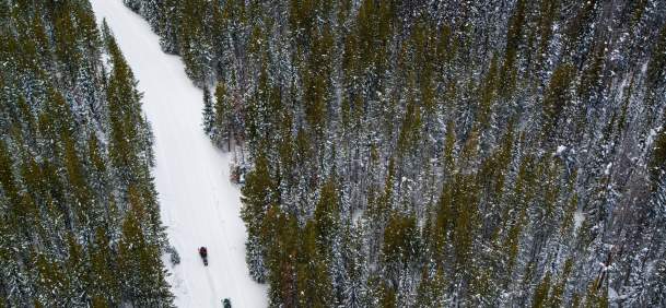 Snowmobiling in woods