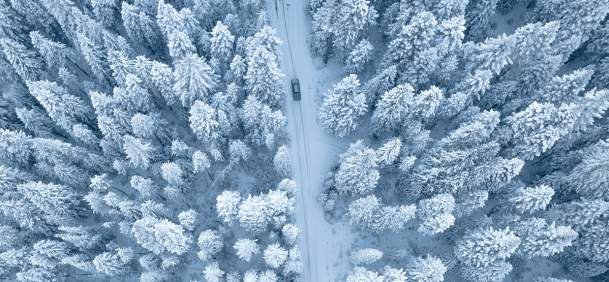 Top Winter Road Trips in Wyoming