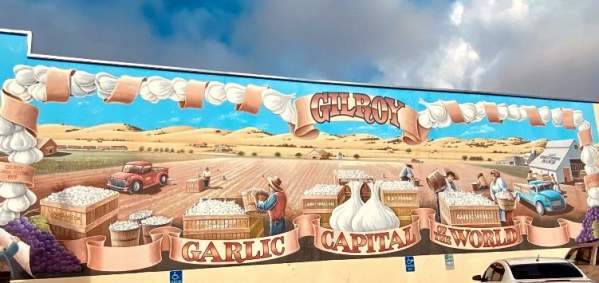Gilroy Garlic Mural with pictures of garlic being farmed by workers in a field and crates of garlic