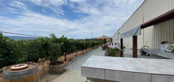 a wine barrel and vines with outdoor seating and a wine bar