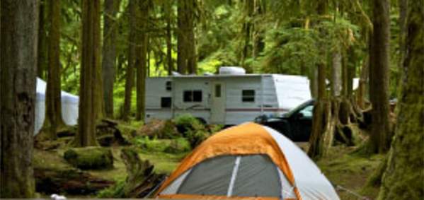RV trailer and orange tent at a camping ground surrounded by large trees