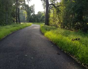 Trails in Florida: Hiking, Biking, and Paddling