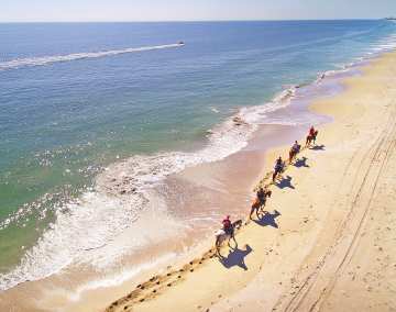 Horseback riding on St. Lucie County beaches