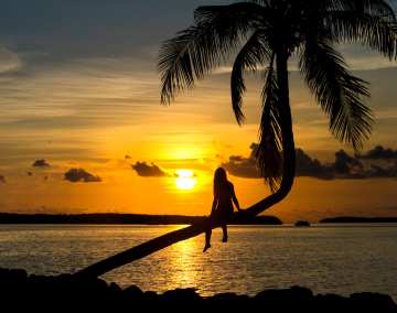 A young woman, silhouetted against the setting sun, sits in the near-horizontal bend of a palm tree extending over beach and calm ocean