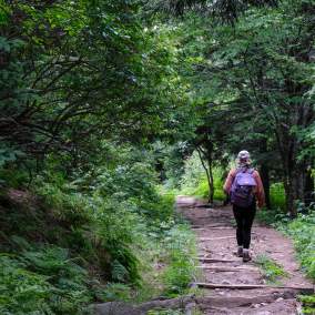 Person Hiking Down A Trail In The Great Smoky Mountains