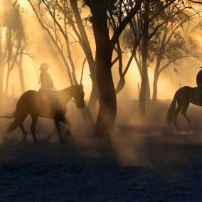 Horseback Riding in the Shadows