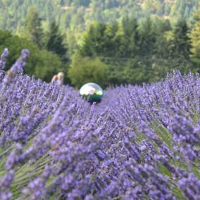 Plan a Relaxing Vacation