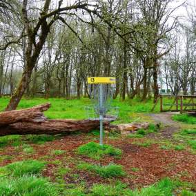 Stewart Pond Disc Golf Course Hole 13