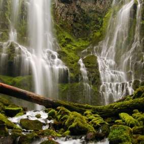Proxy Falls in McKenzie River Region by Greg Lief
