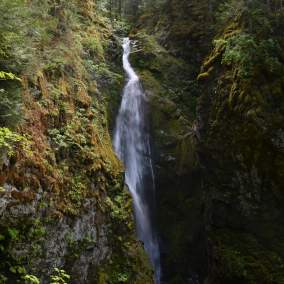 Cottage Grove Area Waterfalls