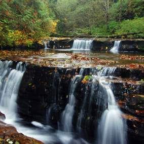 Sweet Creek Falls