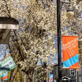 Beekman Arts
