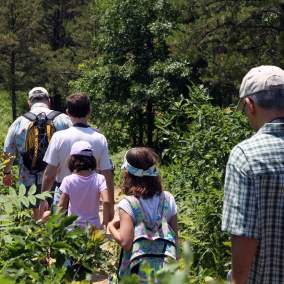 Group of children with adults hiking at Albany Pine Bush
