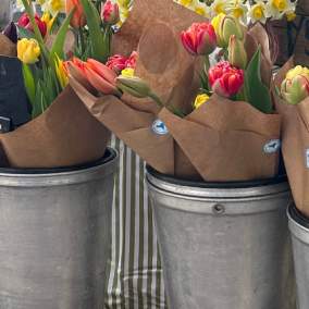 Farm to table header