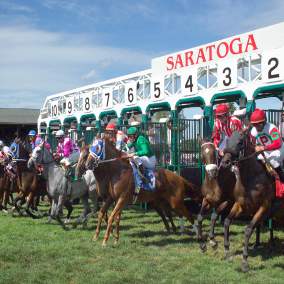 Horses being released from the starting gate