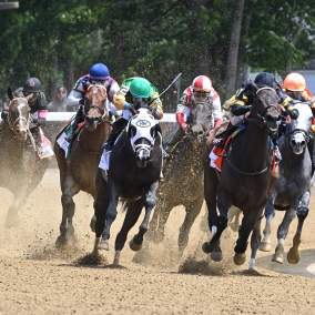 horses running on dirt track