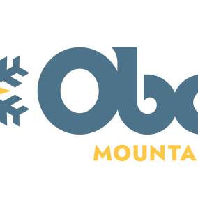 Buzzin Bear at Ober Mountain