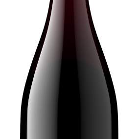 Sweet Cheeks Exclusive UO Wine