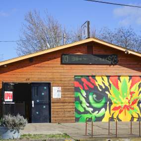 Going Green Eugene