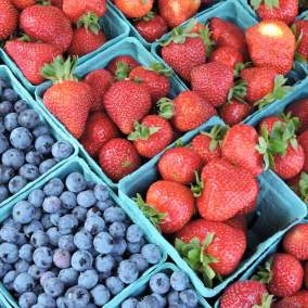 Lane County Farmers Market