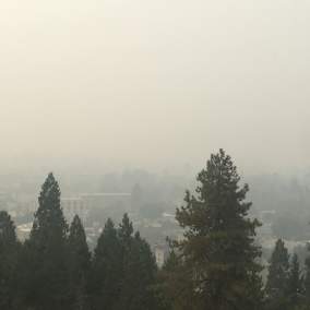 Your Magic Journey Travel Advisor