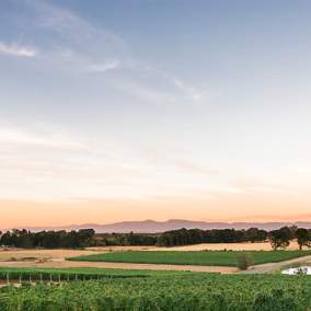 Five Fourteen Vineyards