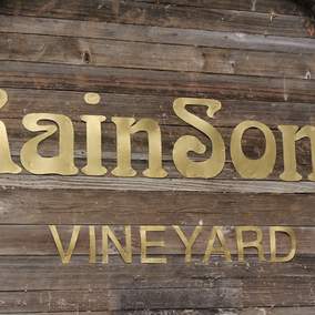 RainSong Vineyard