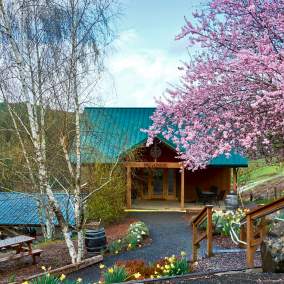 Brigadoon Wine Company