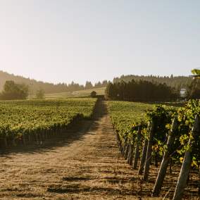 Benton-Lane Winery