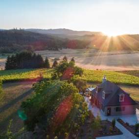 Walnut Ridge Winery