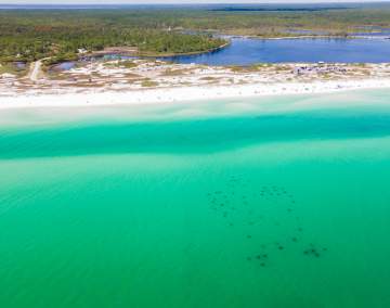 Grayton Beach Underwater Museum of Art