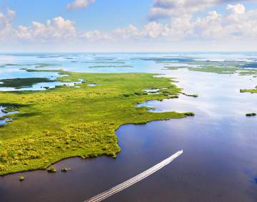 aerial view of the tropical wetlands at the everglades in florida