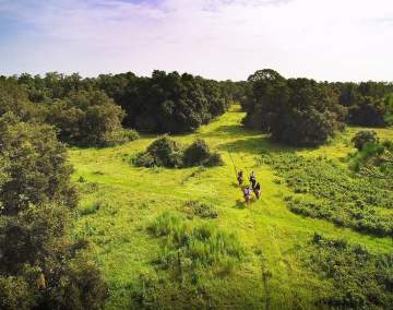 MARTIN COUNTY HORSEBACK RIDING