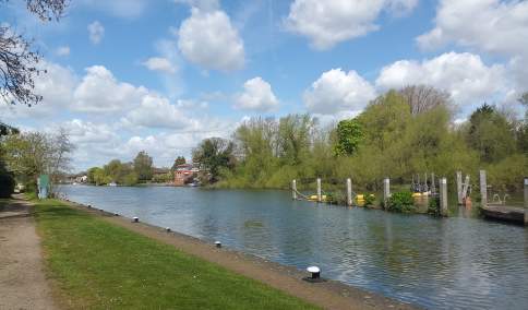 Bell Weir Lock, Fishing