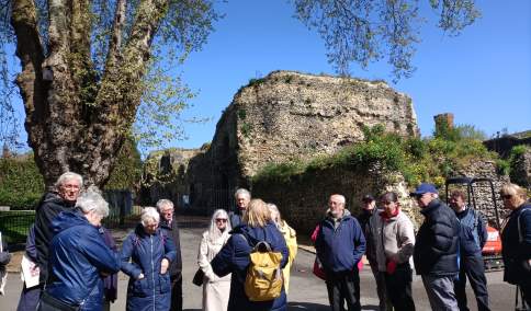 Guided Tours